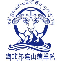 海北祁连山藏羊队